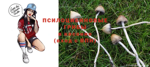 прущие крисы Алексеевка