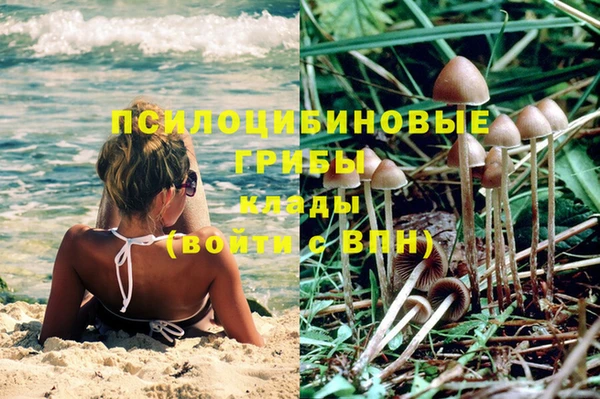 а пвп мука Алексин