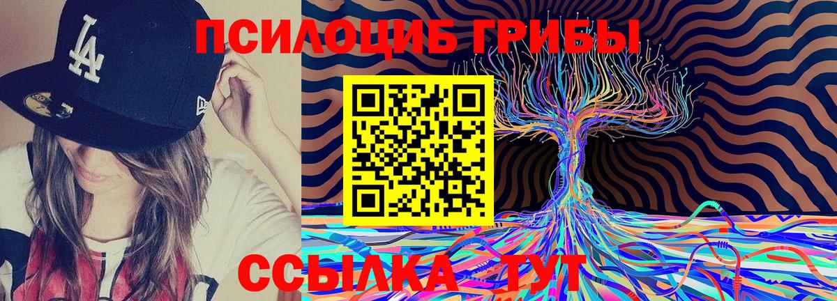 Алексеевка  Галлюциногенные грибы прущие грибы  Вход с VPN 